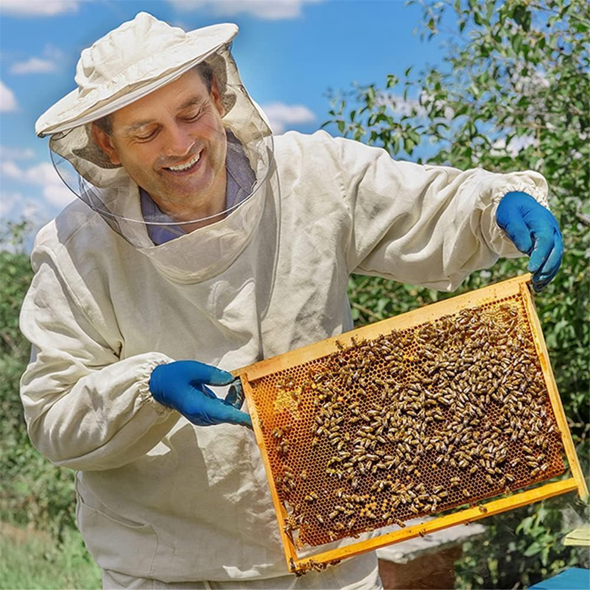 30Pcs Beeswax Sheets, Natural Wax Foundation for Bee Frames, Bee Foundation Sheets for Candle Making (16.34 X 7.68inch)