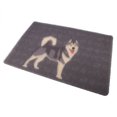 thumbnail image 4 of Lindo cojín de plástico elástico para mascotas, perros, gatos, todas las estaciones (perro), 4 of 5