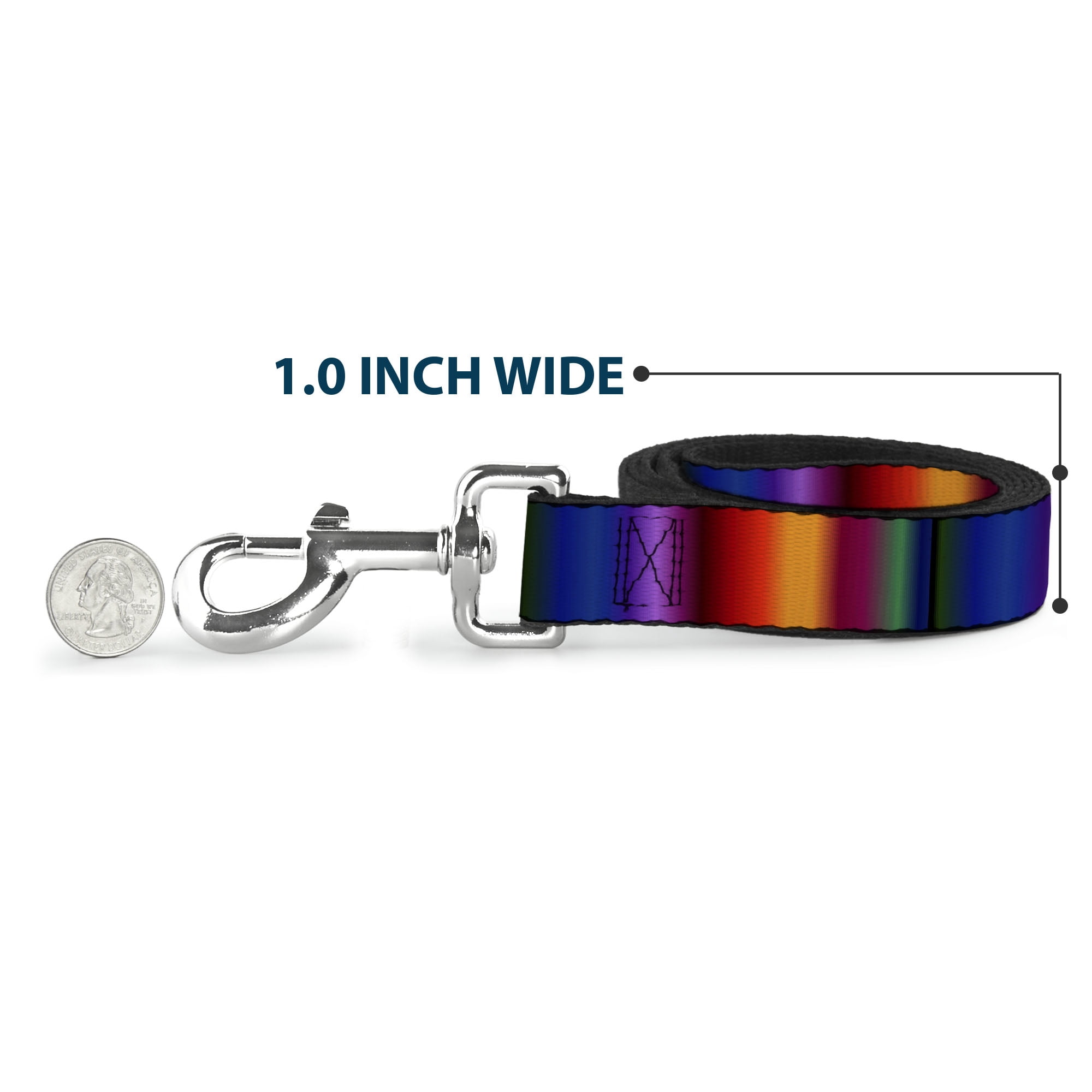 Buckle-Down Pet Leash, Dog Leash, Zarape Vertical Multi Color Fade, 6 Feet Long 1.0 Inch Wide