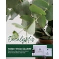 thumbnail image 3 of Essence Refresh Kit – Eucalyptus Essential Oil – Black Personal Aromatherapy Pod, 3 of 7