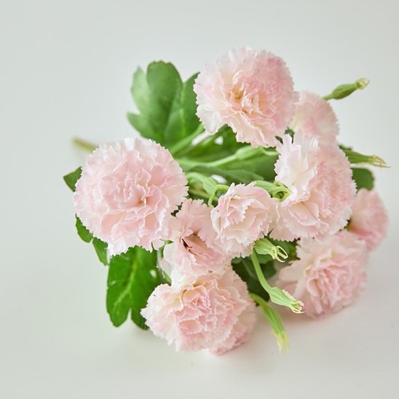 3 Bunch 10 Heads Artificial Carnations Artificial Flowers Decoration Plastic Suitable for Photo Family Party Home Decoration Bridal Wedding Bouquet Decoration Spring Decoration, Indoor Home Decor