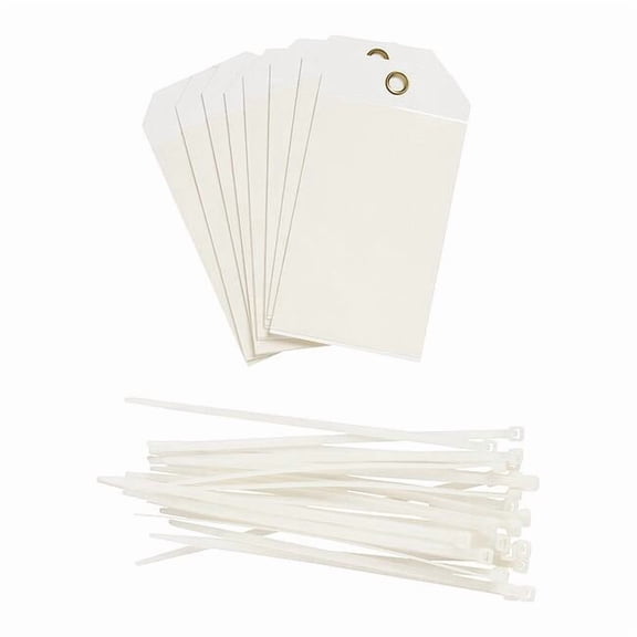 Brady Blank Tag,Polyester,Colored,PK10 96211