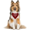 thumbnail image 3 of Bandana pour Chien « My Humans are Getting Married », Bandana pour Chien, Foulard pour Animal à Carreaux Buffalo Rouges, Accessoires de Foulard pour Chien, Foulard Triangle pour Chien, Bandana pour Chiens, Cadeau de Fiançailles (C51), 3 of 4