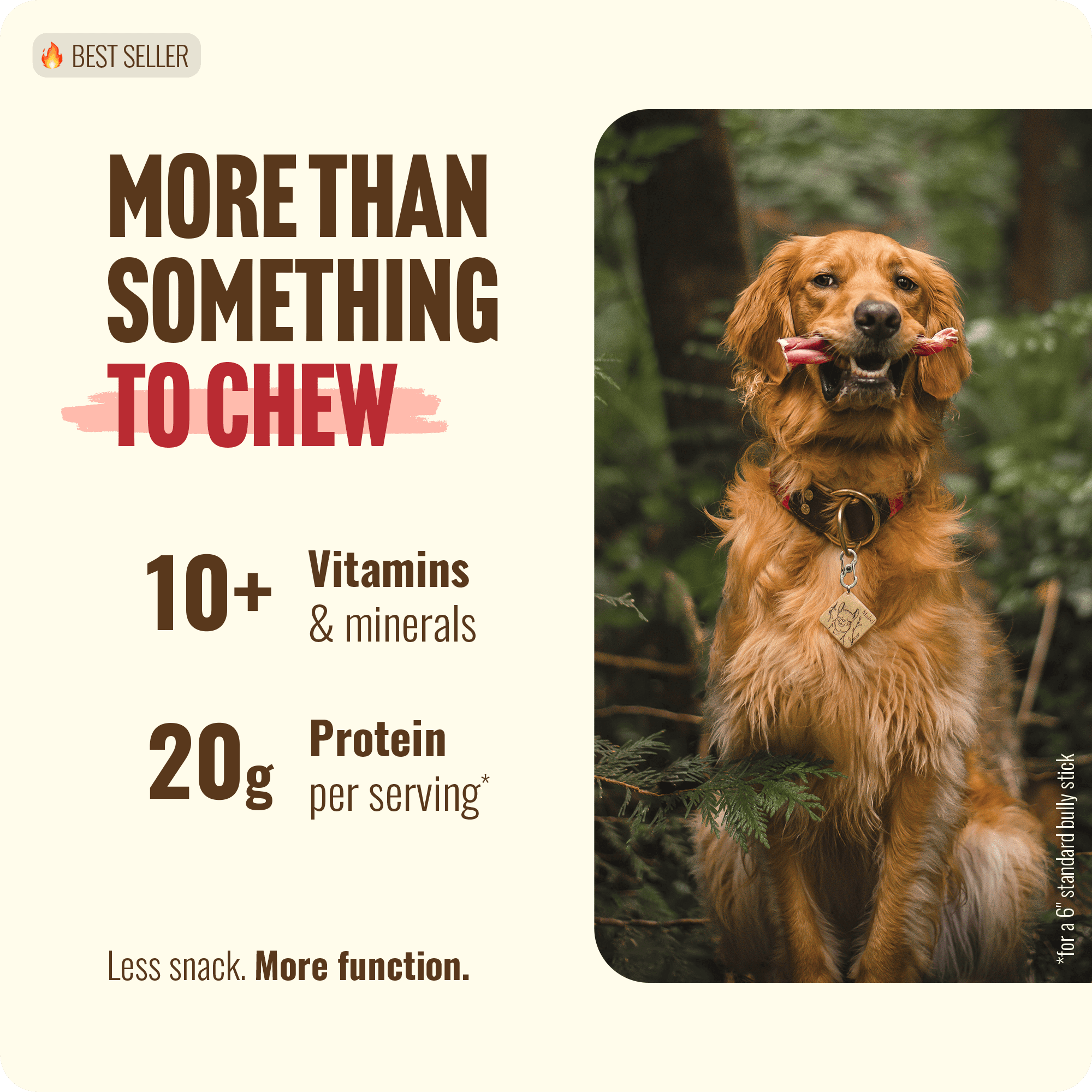 Natural Farm Odor-Free Bully Sticks (6 Inch, 25 Pack), 1.3 lb. Bag, Fully Digestible 100% Beef Pizzle Chews, Grass-Fed, Non-GMO, Grain-Free, Natural Long-Lasting Chews for Small & Large Dogs