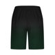 thumbnail image 2 of Ceisia Men's Spring Summer Beach Shorts - Casual Gift Fashion Gradient Print Elastic Waist Pocket Pants, 2 of 4