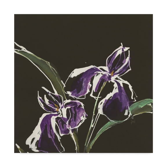 Trademark Fine Art 'Iris on Black I' Canvas Art by Chris Paschke