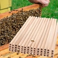 thumbnail image 6 of 48 pcs  Refill Bee Tubes for Beehive Bamboo Bee Tubes Mason Bee Tubes Beehive Tubes Inserts, 6 of 6