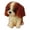 C, variant on HomelyJoy DIY Animal Beading Kit, Creative Bead Craft Set for Adults and Beginners, Handmade 3D Animal Figurine Art Project with Tools and Instructions