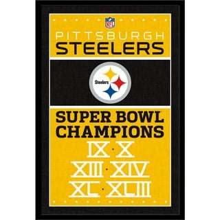 Pittsburgh Steelers Super Bowl XL Champions 12'' x 15'' Team Plaque