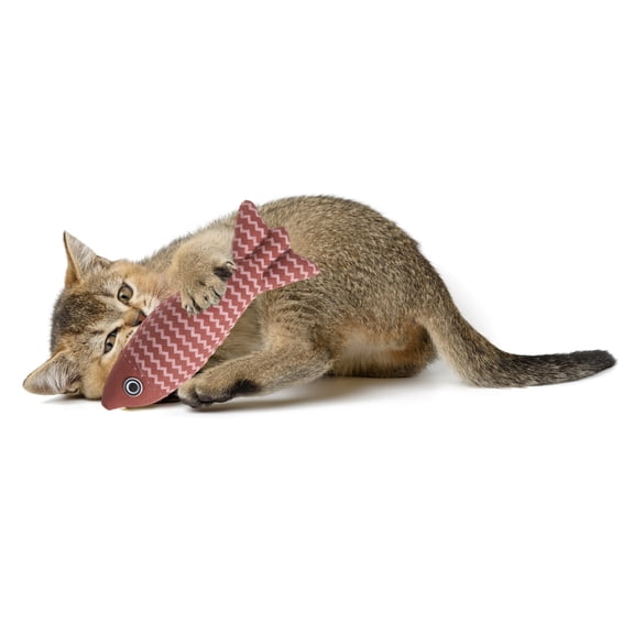Uxcell Bite Resistant Catnip Playing, Durable and Interesting, Simulated Fish Cat Teeth Chew Playing Catnip Filled (Red), Intended for Bedroom / Balcony (21 x 5cm)
