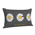 thumbnail image 2 of Kll Keep Life Simple Daisy Flower Pillow Covers Envelope Closure,Super Soft And Cozy Fuzzy Fleece Pillow Case Cover 20"X30", 2 of 9
