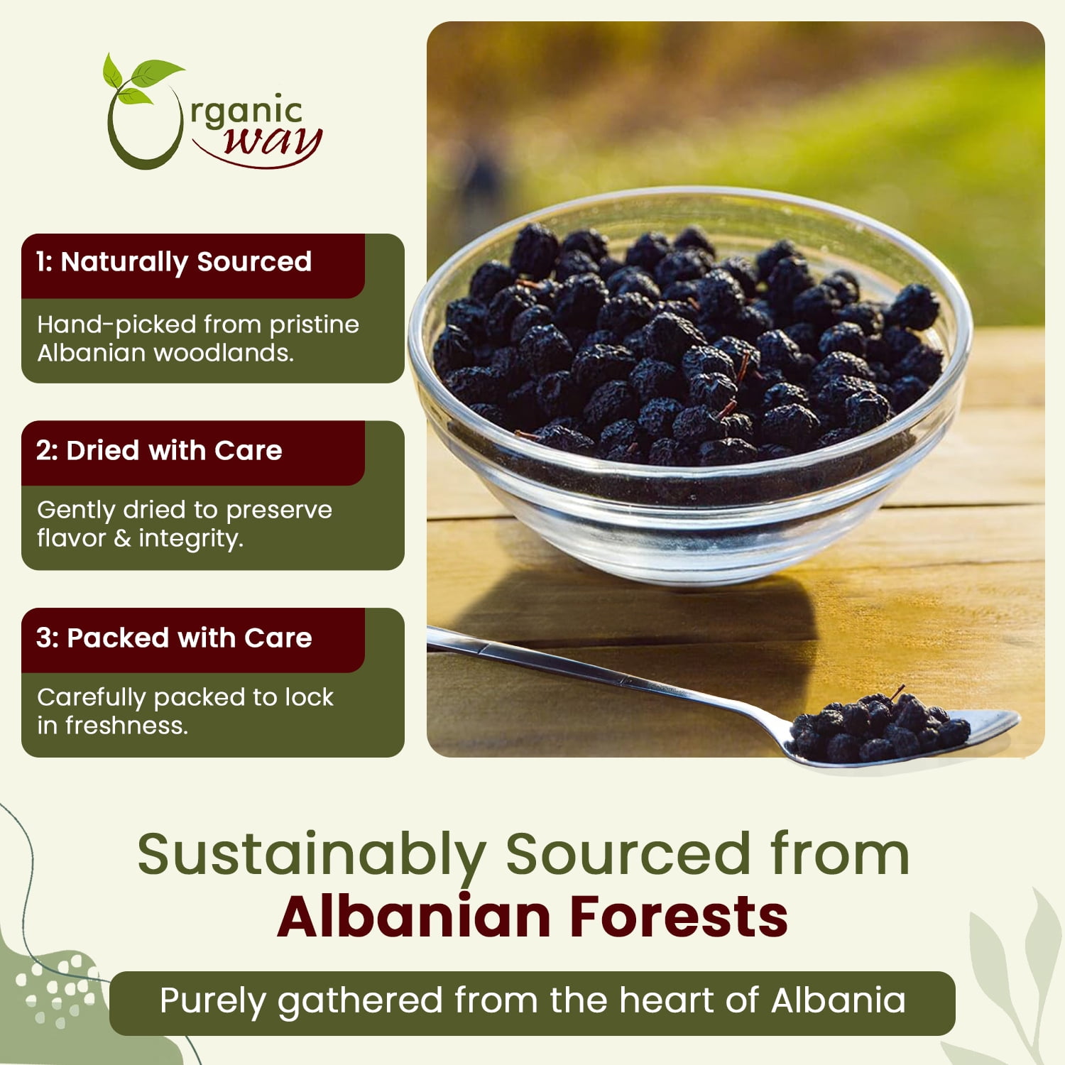 Organic Way Chokeberries Fruit/Aronia Berry Whole (Aronia Melanocarpa) - European Wild-Harvest | Organic & Kosher Certified | Non GMO & Gluten Free | USDA Certified | Origin - Albania (1 lbs / 16 oz)