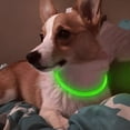 thumbnail image 2 of AMERTEER USB Rechargeable LED Dog Collar Glowing pet Dog Collar for Night Safety  Water Resistant Cuttable TPU Light Up Collars Fashion Light up Collar for Small Medium Large Dogs, 2 of 8