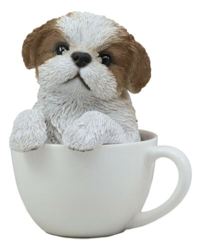 I Kissed a Shitzu and I Liked It Pet Coffee Mug 