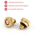 thumbnail image 5 of 50X Brass Misting Nozzles Water Mister Sprinkle For Cooling System 0.012" 10/24, 5 of 8