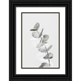 thumbnail image 1 of Artographie Studio 23x32 Black Ornate Wood Framed with Double Matting Museum Art Print Titled - Eucalyptus Creative 05, 1 of 4