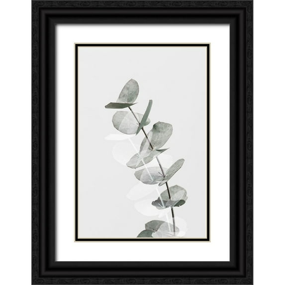 Artographie Studio 23x32 Black Ornate Wood Framed with Double Matting Museum Art Print Titled - Eucalyptus Creative 05