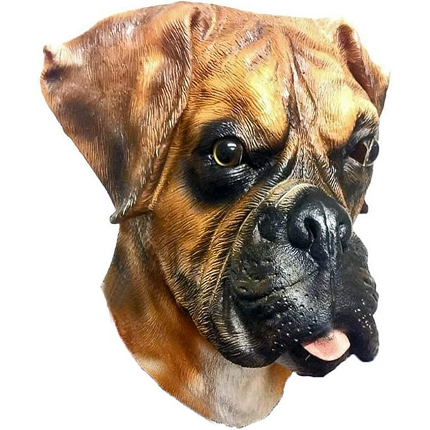 Boxer dog dress cheap