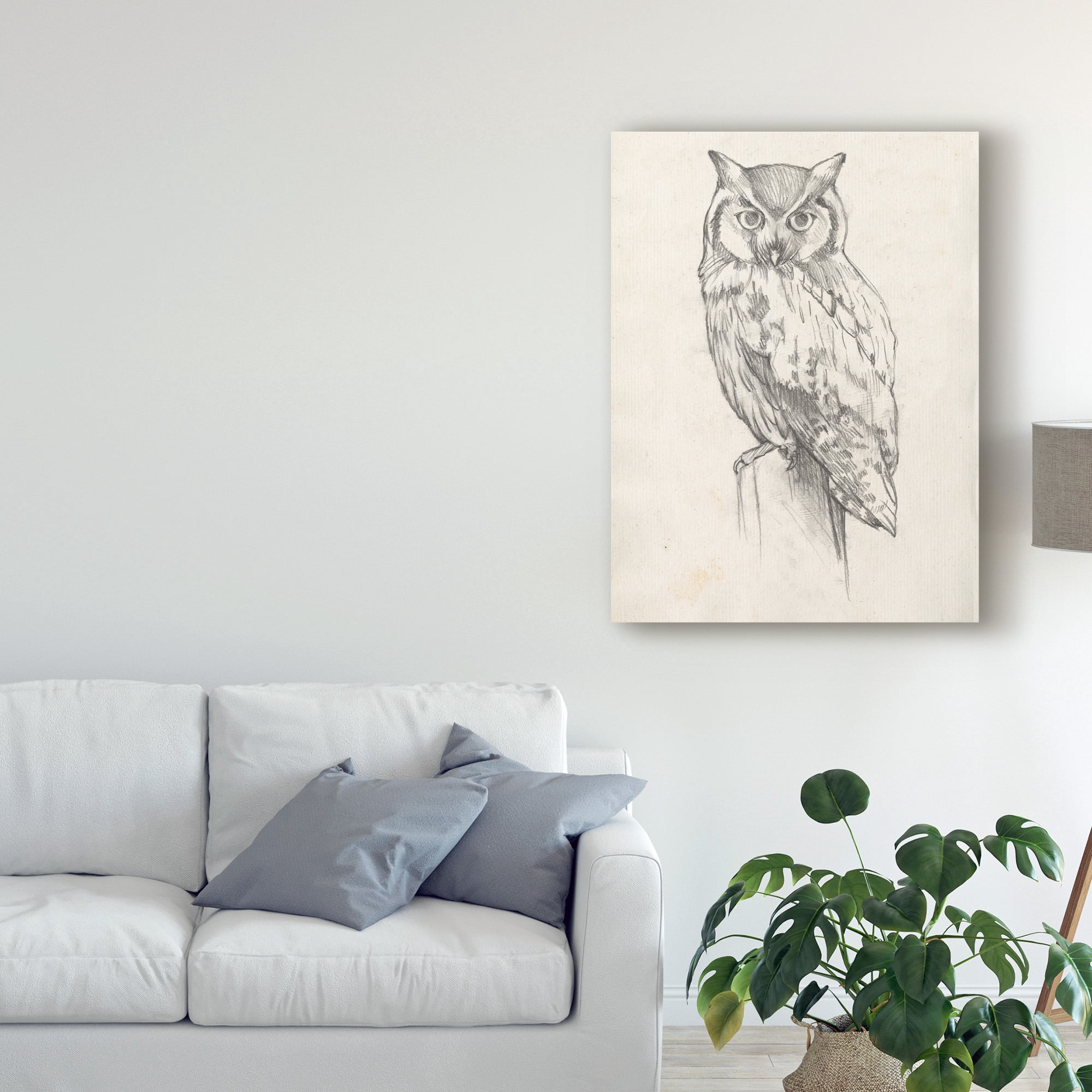 Trademark Fine Art 'Owl Portrait II' Canvas Art by Jennifer Goldberger