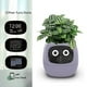 thumbnail image 2 of Robot para Plantar Macetas con Inteligencia Artificial para Mascotas, 7 Sensores Inteligentes, Maceta Inteligente con Pantalla Temperatura y Tiempo para Plantas, Macetas Amarillas, 2 of 8