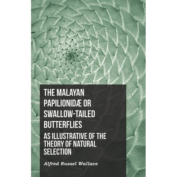 The Malayan PapilionidÃ¦ or Swallow-tailed Butterflies, as Illustrative of the Theory of Natural Selection, (Paperback)