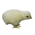 thumbnail image 1 of Flmtop Baby Chick Plush Smooth Soft Electric Little Chick Stuffed Toy for Gift, 1 of 9