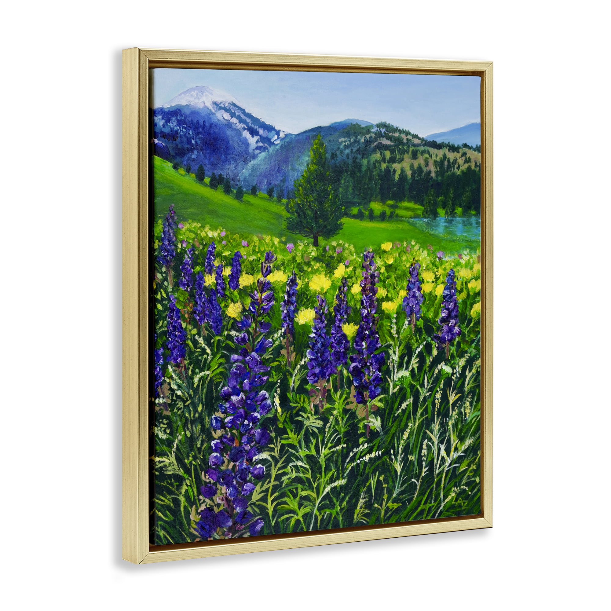 Stupell Industries Flower Speckled Valley Gold Framed Floater Canvas Wall Art, design by Lee Ann Zirbes