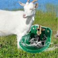 thumbnail image 3 of Automatic Drinking Bowl Liquid Waterer Sheep Farm Animal Feeder Drinking Tool Breeding Equipment, 3 of 5