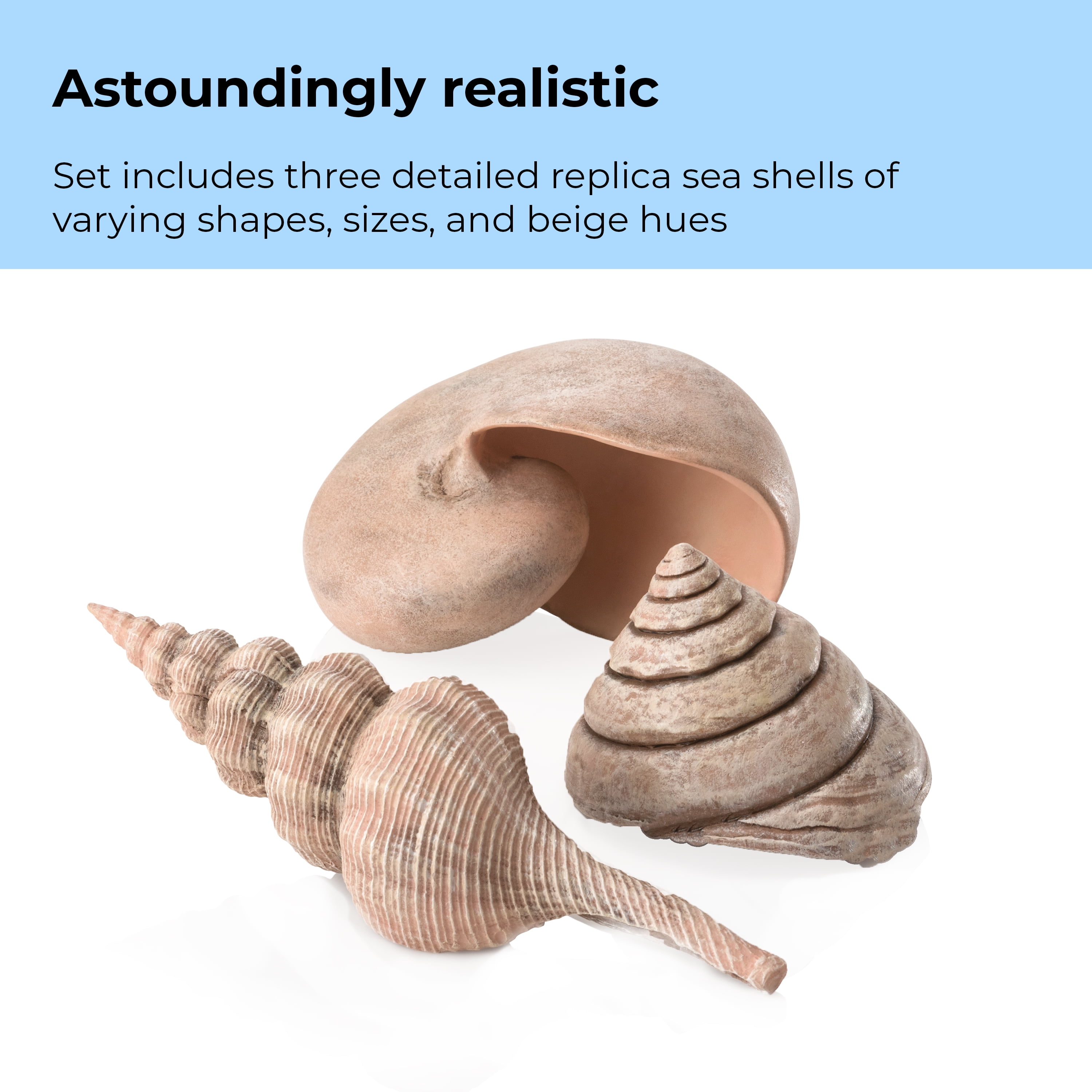 biOrb Natural Seashell Set - Aquarium Decor
