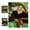 Red Pandas, variant on 3D LiveLife Lenticular Wall Art – Red Pandas from Deluxebase Unframed 3D Wild Animal Poster Decor