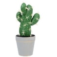 thumbnail image 1 of IFANLANDOR Simulation Potted Plants Mini Cactus Bonsai Green Office Workers 1Pack, 1 of 8