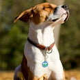 thumbnail image 4 of Shisuyan 6pcs Silicone Pet Tag Silencers Name Tag Rings Convenient Dog Collar Tag Silencers, 4 of 8