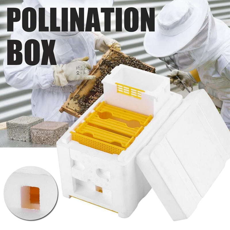 12 pcs/pack Beekeepers Bee hive Nuc box Entrance gates Beekeeping Equipment ESTA 