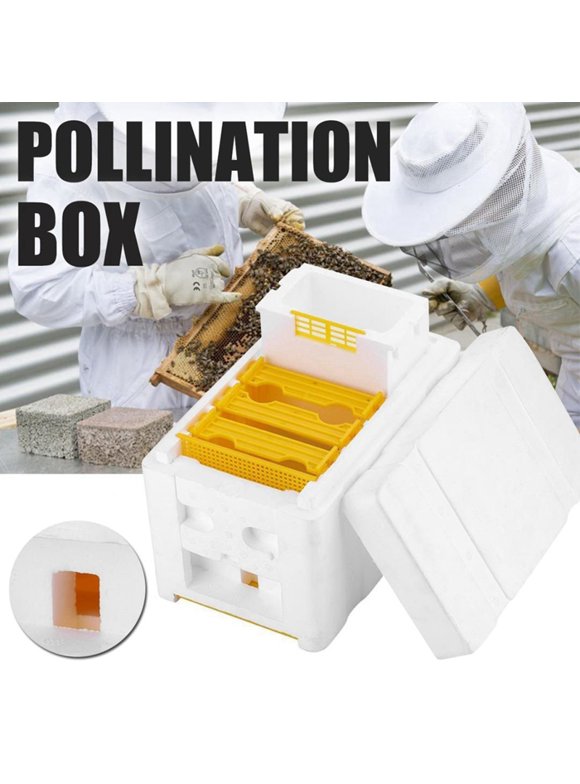 Beekeeping Kits & Beehives in Beekeeping Supplies