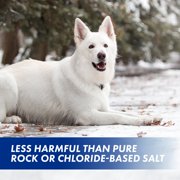 Keep it Green Pet-Safer Ice and Snow Melt and Deicer, 20 lb. Bag
