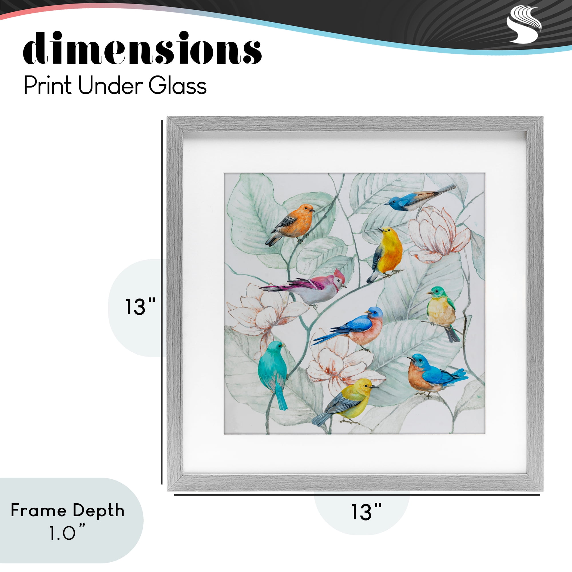 Stupell Industries Colorful Array Of Birds Gray Framed Print Under Glass, design by Lorenzo Collective