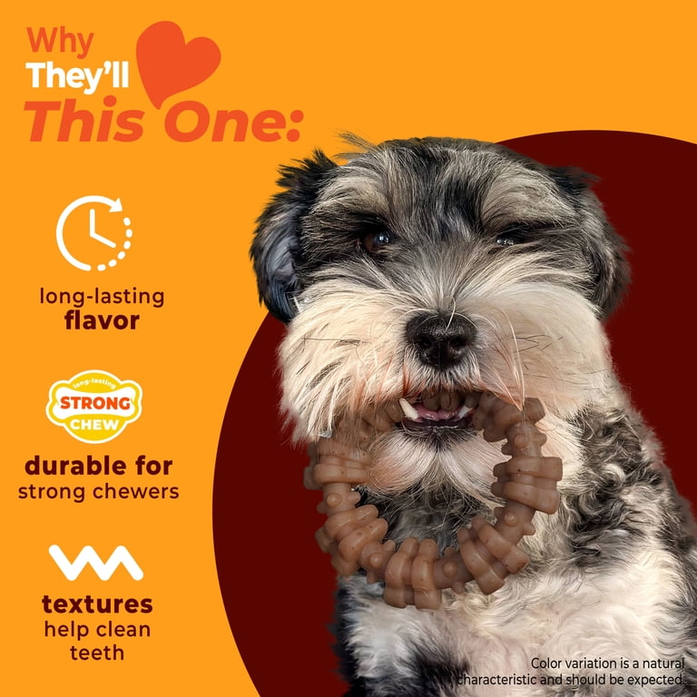 Nylabone Strong Chew Textured Ring, Beef & Chicken photo 3