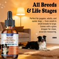 thumbnail image 2 of Suplemento Kivori Lab en gotas para infecciones por hongos para perros, 60 ml, 2 of 6
