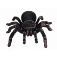 thumbnail image 2 of For Rc Spider Realistic Infrared Rc Animal Tarantula With Lighting Remote Control |rc Animals Ws1030 Banmo, 2 of 5