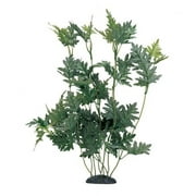 Marina Hygropphila Diformis Aquarium Plant Decoration, 12-Inch