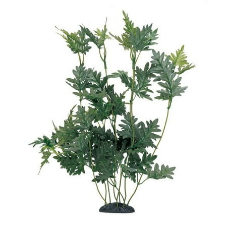 Marina Hygropphila Diformis Aquarium Plant Decoration, 12-Inch