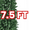 Green, variant on Ktaxon 7.5FT Slim Christmas Tree, Pencil Flocked Artificial Tree with 641 Tips, Green and White