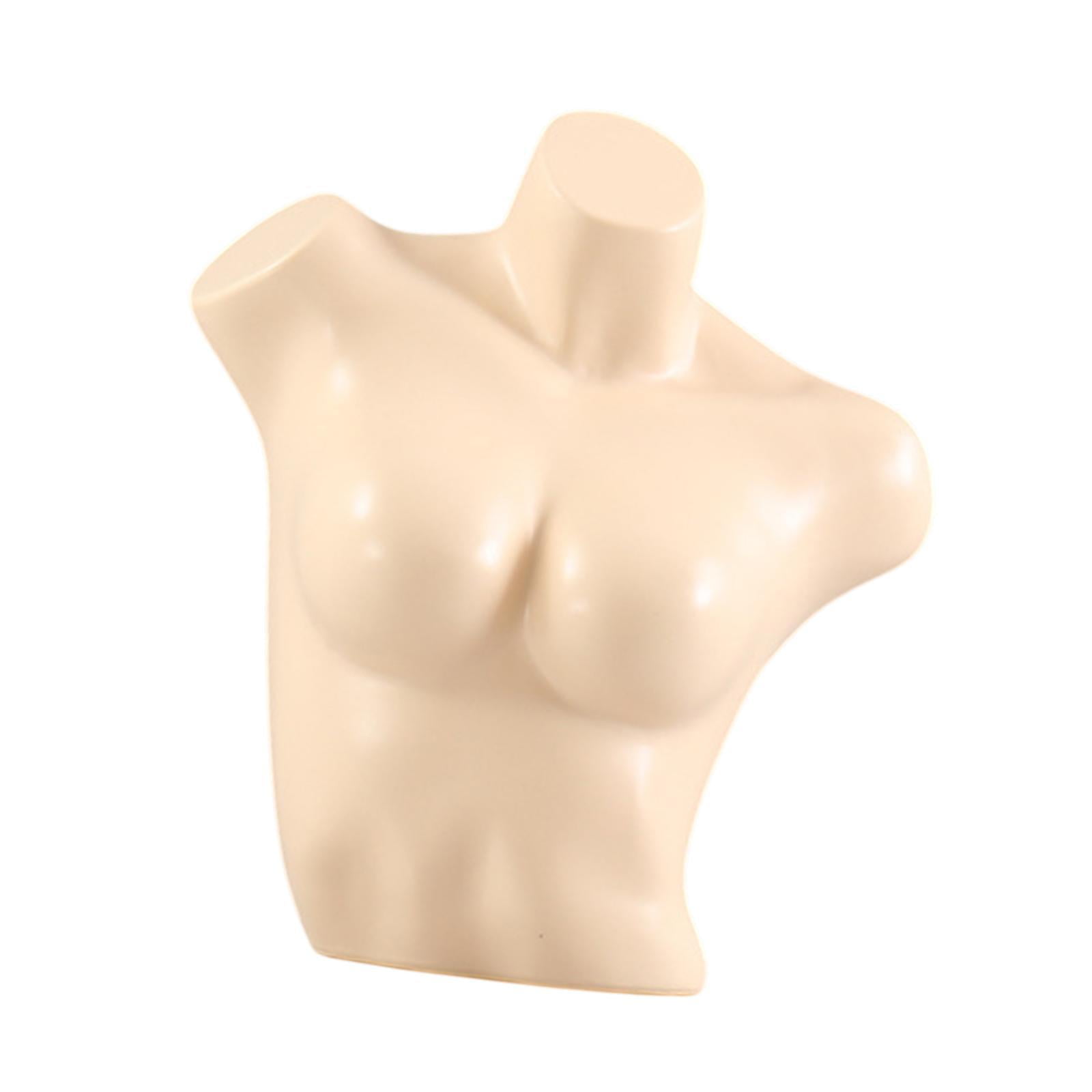 Milageto Female Mannequin Bra Mannequin for Craft Shows Clothing Store Lingerie Cloakroom
