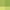 Green, variant on DRMHM PVC Placemats Set of 8, Placemats for Kitchen Dining Table Decor Washable Heat Resistant Table Placemats Wipeable Place Mat Green 18*12in
