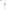 White, variant on Joernso 6Pcs Lifelike Artificial Tulip Flower Bouquet Decoration for Party Home Garden
