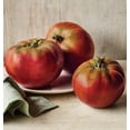 thumbnail image 3 of Graines Burpee 'Cherokee Violet' Tomate Patrimoniale 50 non-OGM, 3 of 6