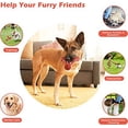 thumbnail image 5 of Juguetes Indestructibles para Perros, Juguete para Perros Mediano y Aburrido, Juguetes para Perros Resistentes para Masticadores Agresivos - Sabor a Carne - Cuidado Dental con Cepillo de Dientes - Prá, 5 of 5