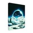 thumbnail image 4 of Trademark Fine Art Taudalpoi Winter Eclipse Canvas Wall Art, 4 of 4