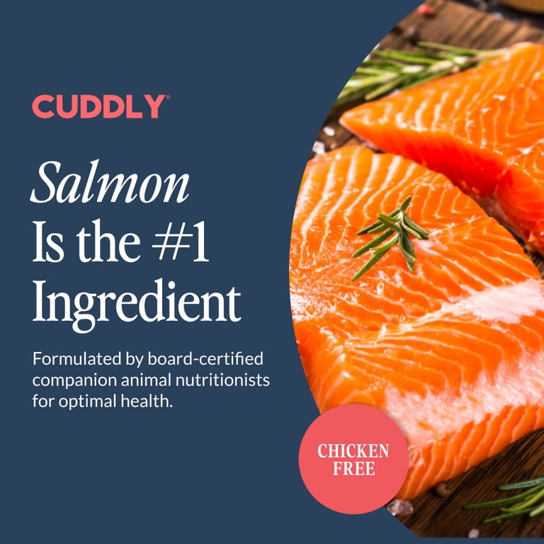 Salmon and Rice Dry Dog Food photo 2