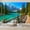 Color 3, variant on Wallpaper Sunlit Forest Meadow Wildflowers Blooming Morning Fantasy Peel and Stick Wall Murals 69"H x 96"W Removable PVC Wall Paper Self-Adhesive Wall Paintings Art Decor for Bedroom Living Room